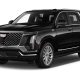 Latino Transportation Services company Cadillac Escalade